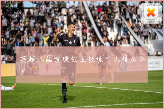 英超水晶宫现任主教练个人履历公开