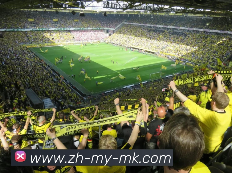 MK体育APP 高清赛事图